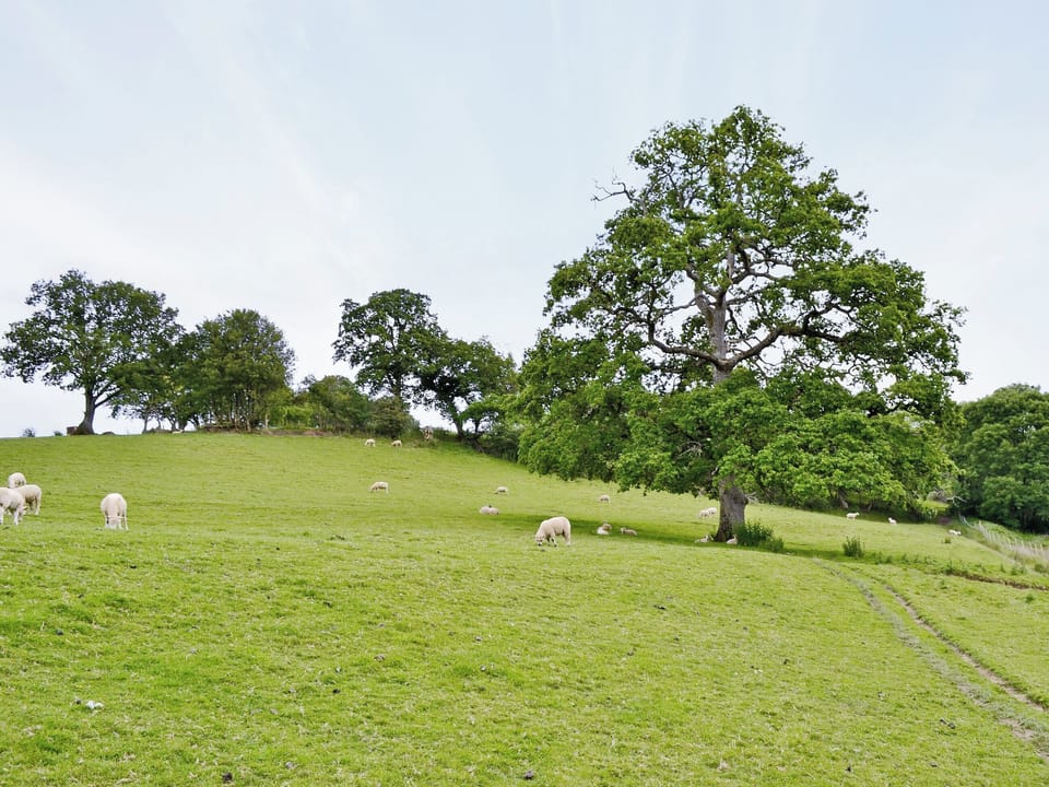 Surrounding area | Kingsford Farm Cottages - Cherrytree Cottage, Longdown, nr. Exeter