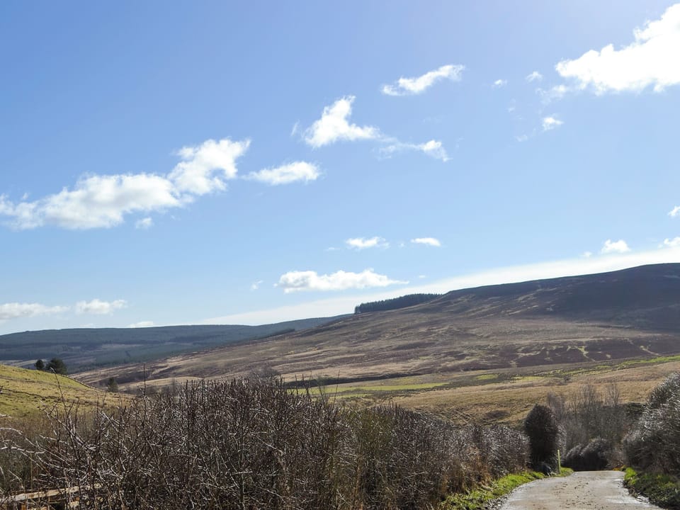 Tranquil rural surroundings | Birch Cottage, Rowan Cottage, Oak Cottage - Whitelee Farm, Bryness, near Otterburn