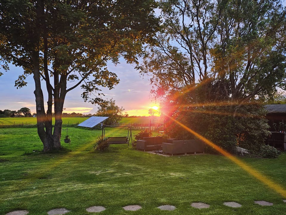 View from the conservatory | Elm Barn View - Elm Barn, Freethorpe