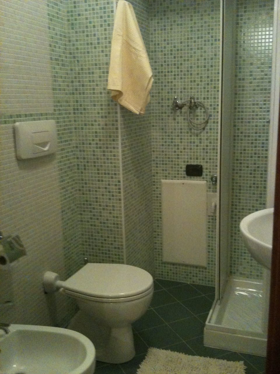 Shower, bidet