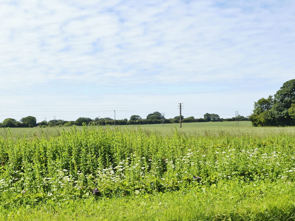 South View Cottage - Orchard Farm, West Beckham, near Sheringham
