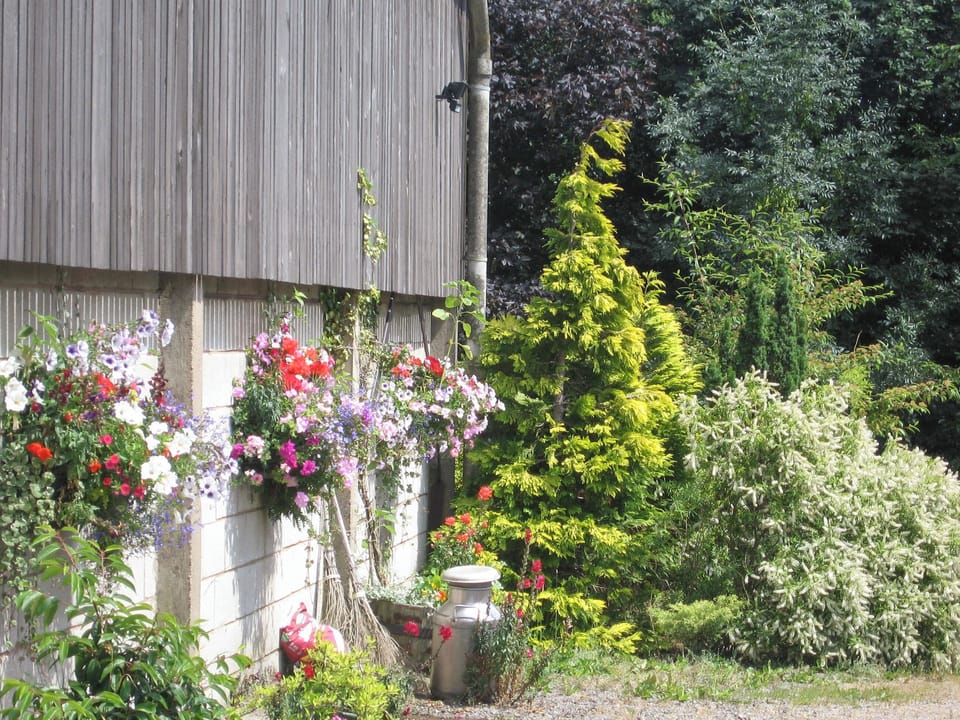 Hanging baskets on the hay-barn | Priestfield Grange - Willow Cottage, Chestnut Cottage - Prestfield Grange, Old Brampton, near Chesterfield