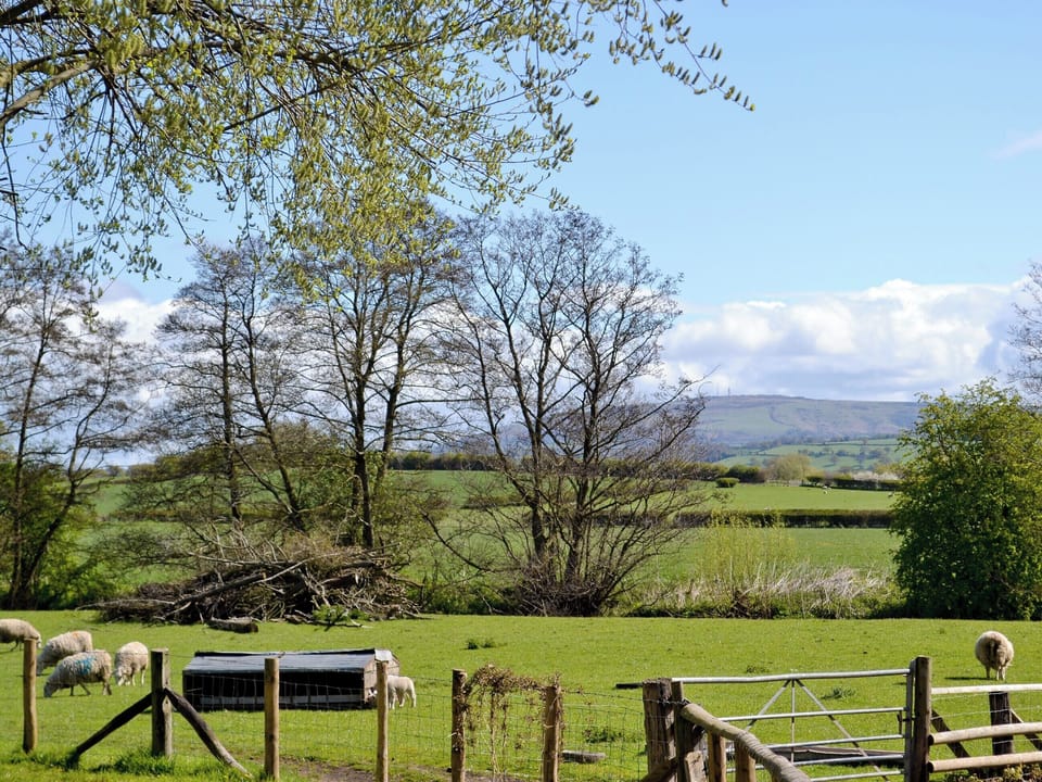 Surrounding area | Apple Cottage, Culmington, nr. Ludlow
