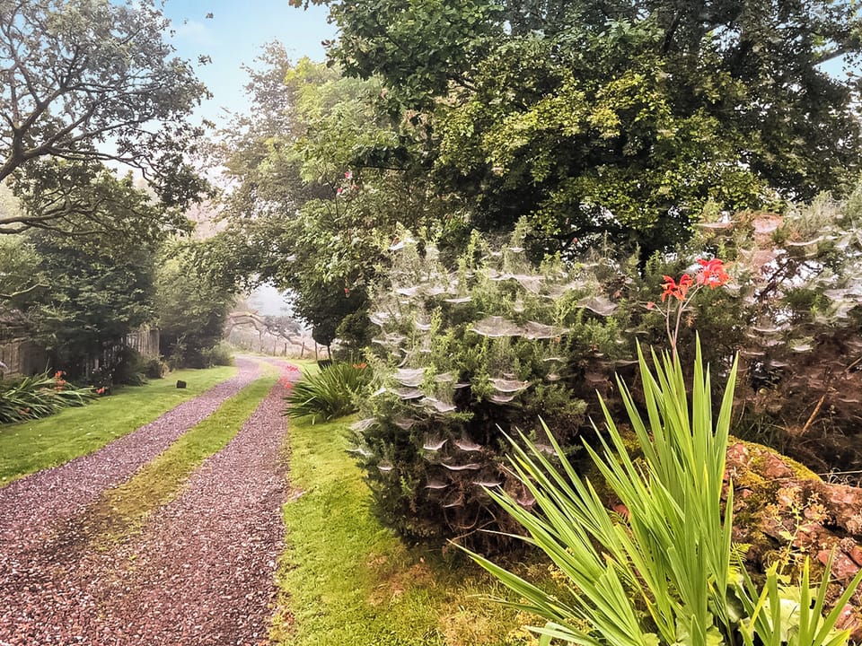 Garden and grounds | Capelrig Cottage, Balfron, near Drymen Loch Lomond & The Trossachs