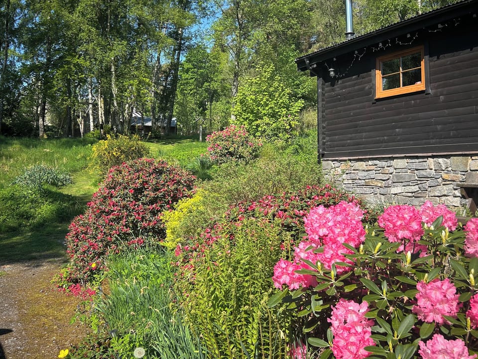 Garden | Squirrel View, Newtonmore