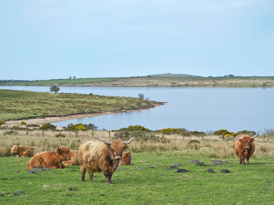 Colliford Lake | Bodmin Moor, Cornwall