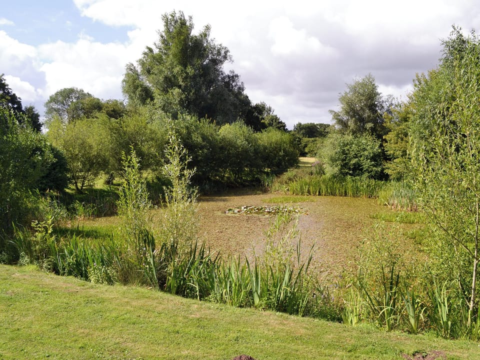 Relaxing twin bedroom | The Cottage - Scarning Dale Cottages, Scarning, near Dereham