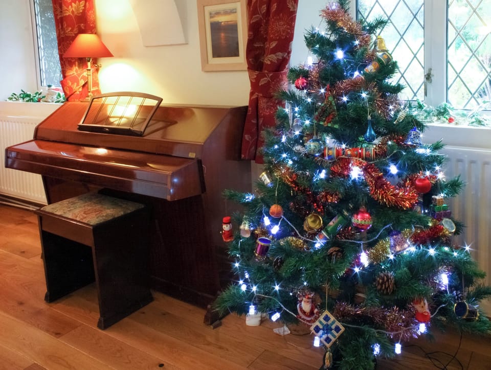 A decorated tree throughout the festive season | Churchview House, Winterbourne Abbas, near Dorchester