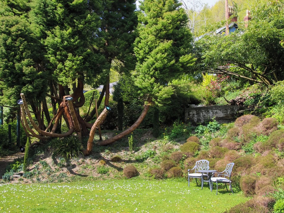Garden and grounds | Tŷ Melindwr, Hen Goginan, near Aberystwyth