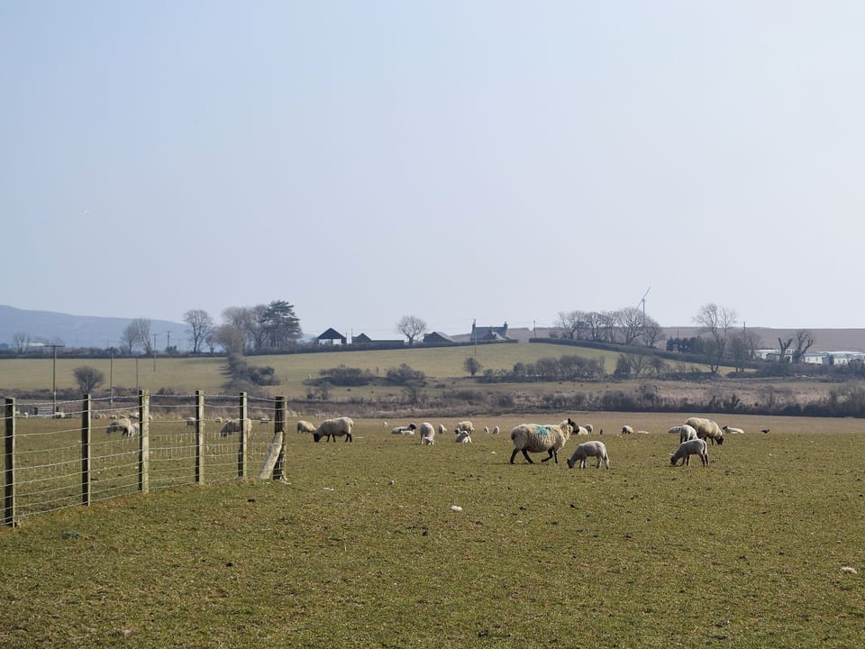 View | Bodwi Farm Cottages - Bodwi Bach, Nr. Abersoch
