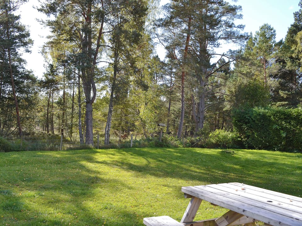 Garden | Cottertonbeag, Nethy Bridge, near Aviemore