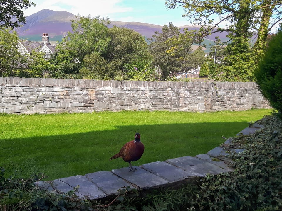 Lovely views to Skiddaw and beyond | 2 Greta Grove House - Greta Grove Apartments, Keswick