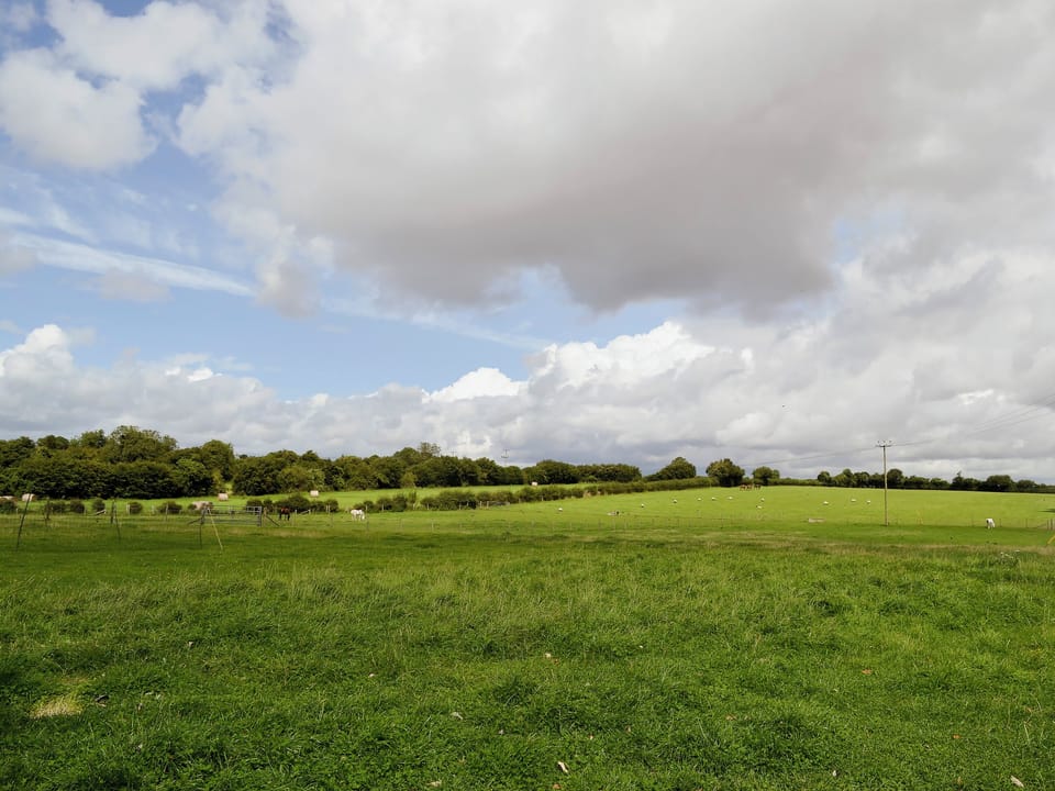 Surrounding area | The Stables, Saddle Room - Higher Farm, Martin, Fordingbridge