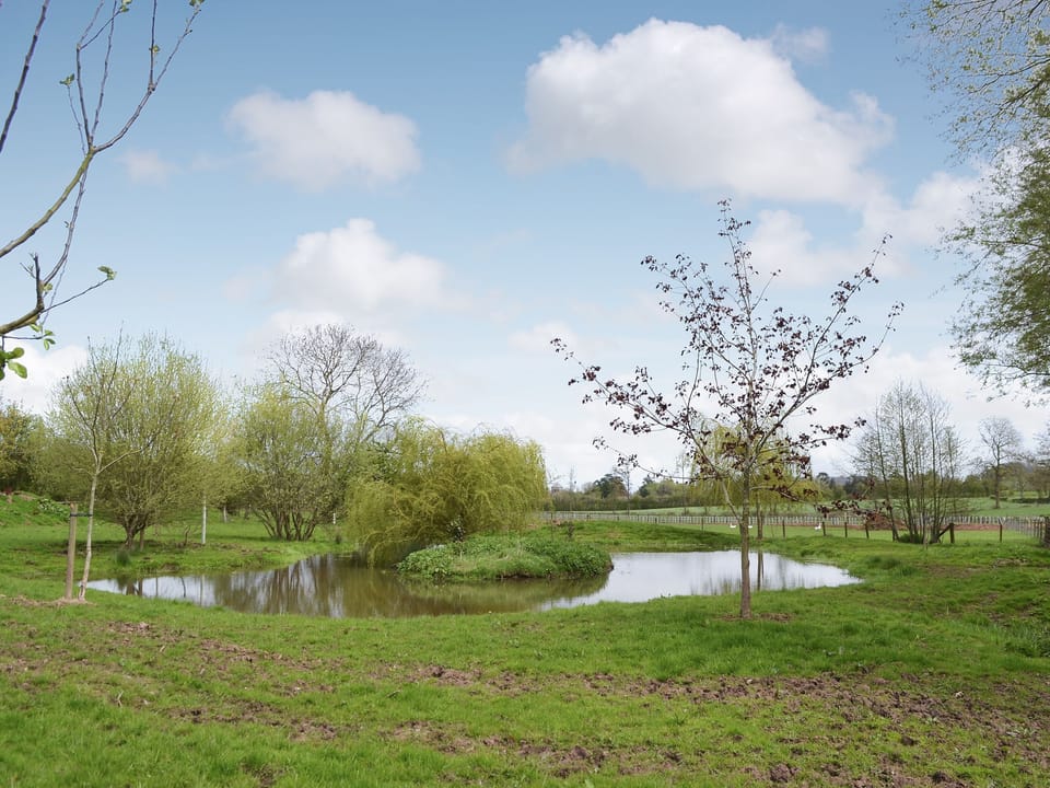 View | The Cart Shed, Knapton Green, near Leominster