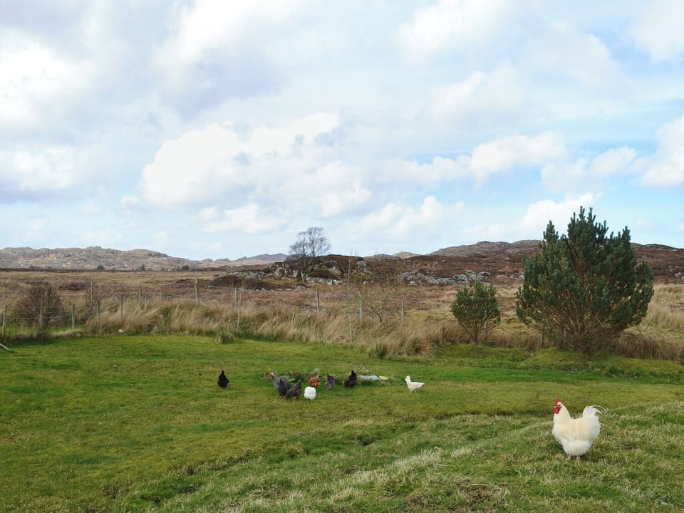 Beautiful open countryside | Riverview Cottage, Acharacle