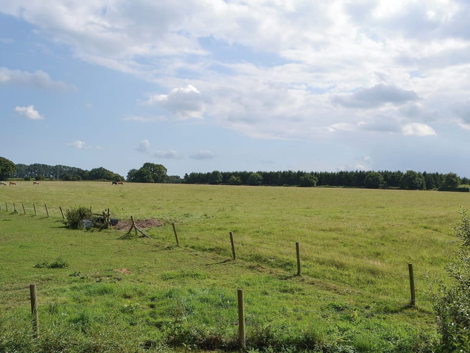 Surrounding area | Broad Cottage Boathouse, Ranworth, near Wroxham