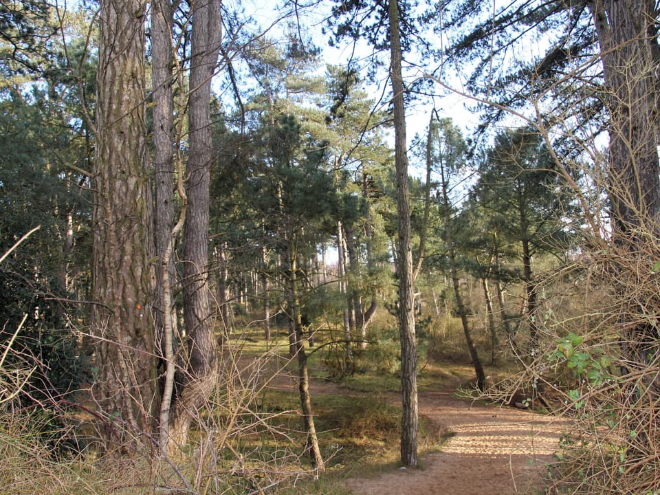 Surrounding area | Crow&rsquo;s Nest, Wells-next-the-Sea