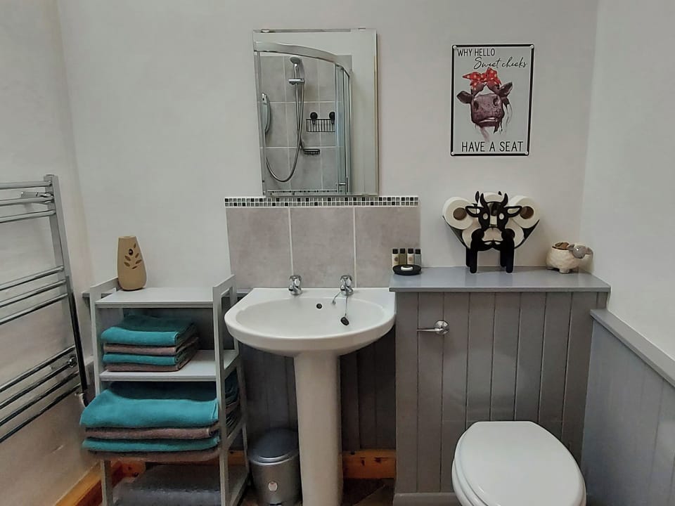 Shower room | Hooked Rise Holiday Lodge, Dunkeswell, near Honiton