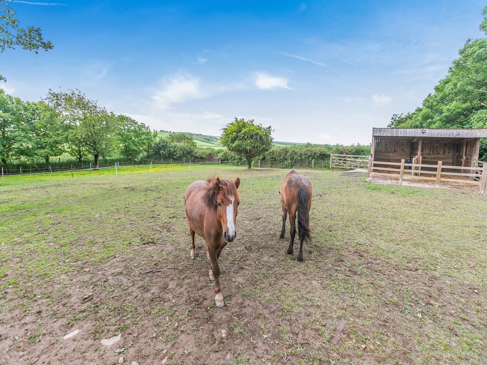 Surrounding area | Rose Cottage, Hartland