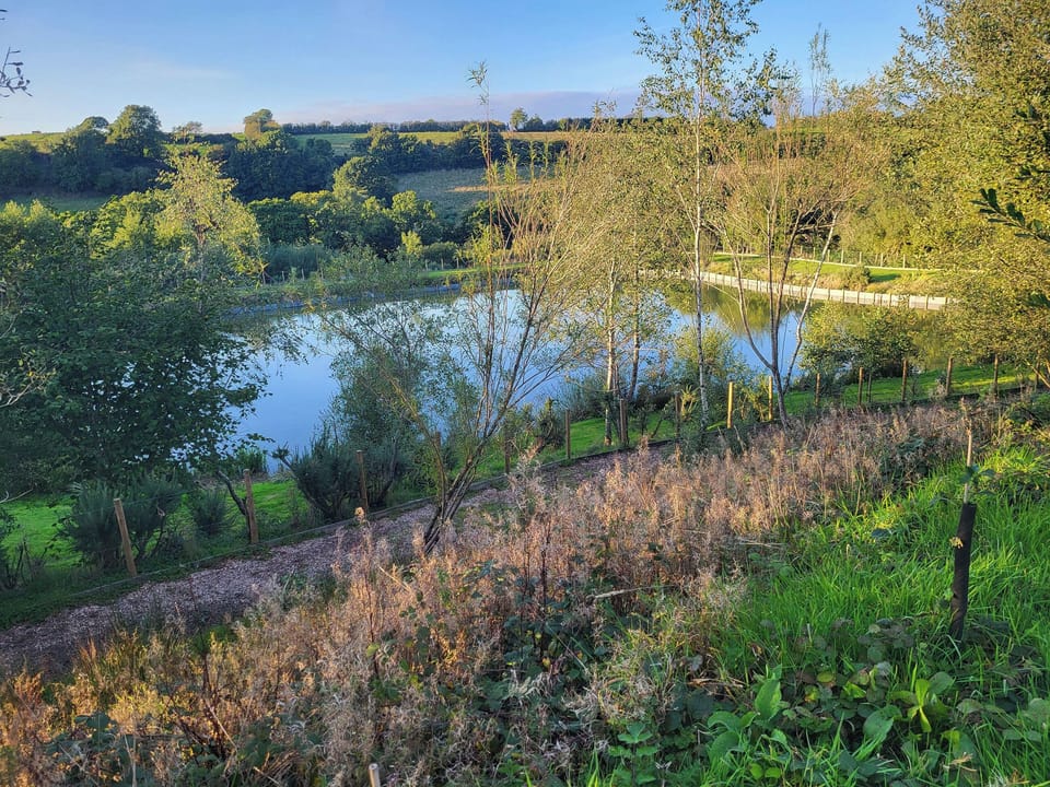 Surrounding area | Primrose Lodge - Higher Shorston Lakes and Lodges, Holsworthy, near Bude