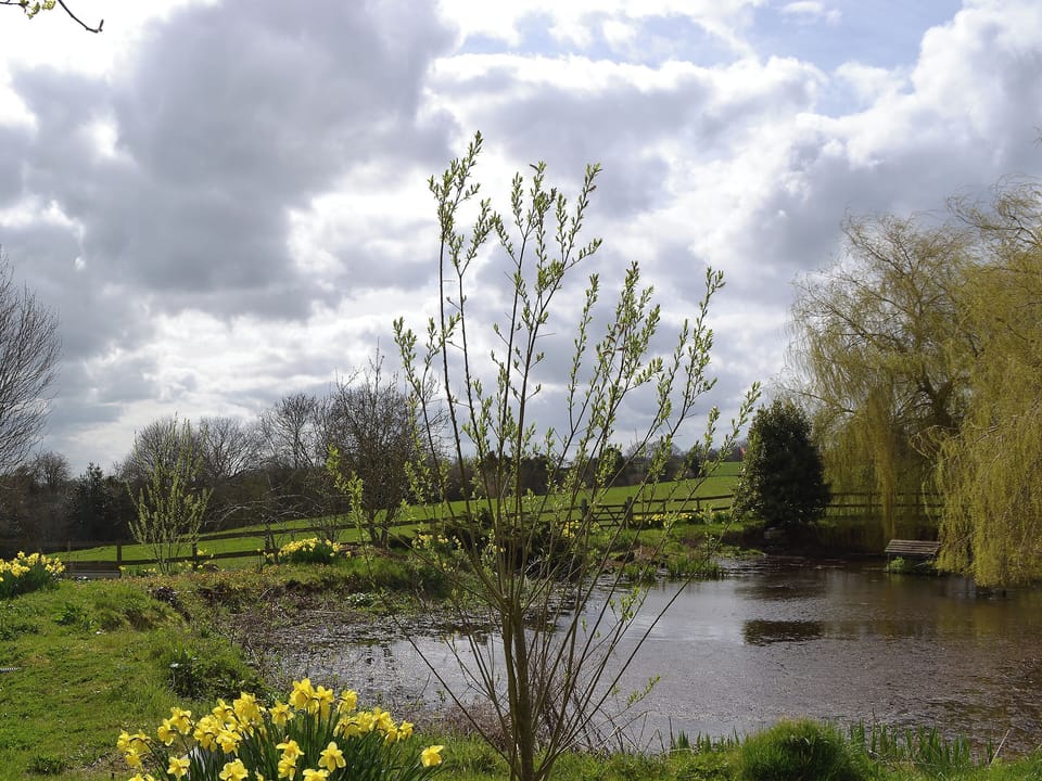 Pretty lakes and ponds in the grounds | Bugatti House, Bosbury, near Ledbury