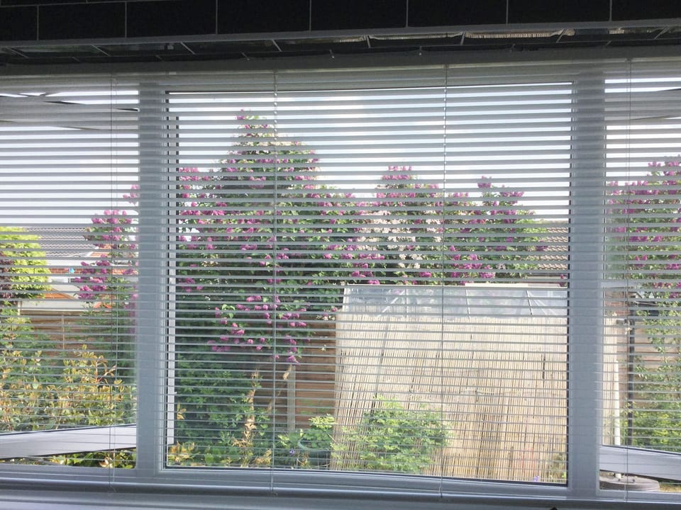 Rear garden from the kitchen | The Briar Rose, Shiney Row, near Houghton-le-Spring