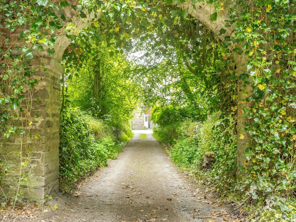 Surrounding area | The Cottage - Barrock House, Lyth, near Wick