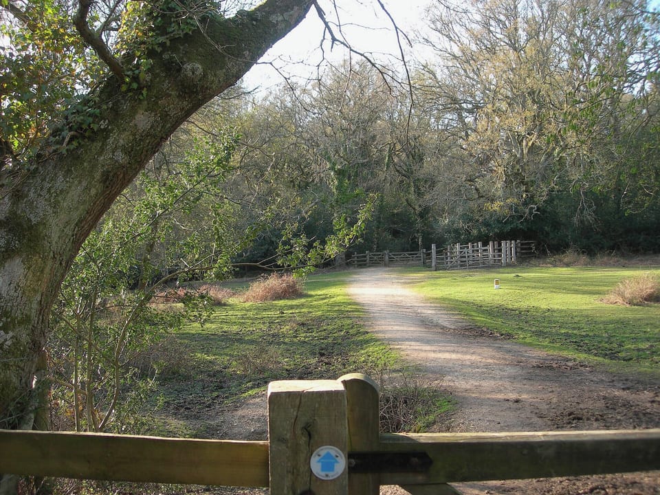 Pathway from Adlams Lane to neighbouring forest | Laurel Cottage, Sway, near Lymington