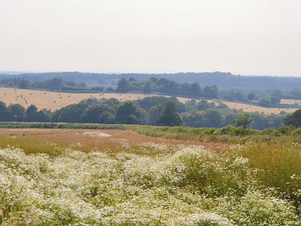 Surrounding view | Cornbrash Farm Cottage, Earlsdown, near Heathfield