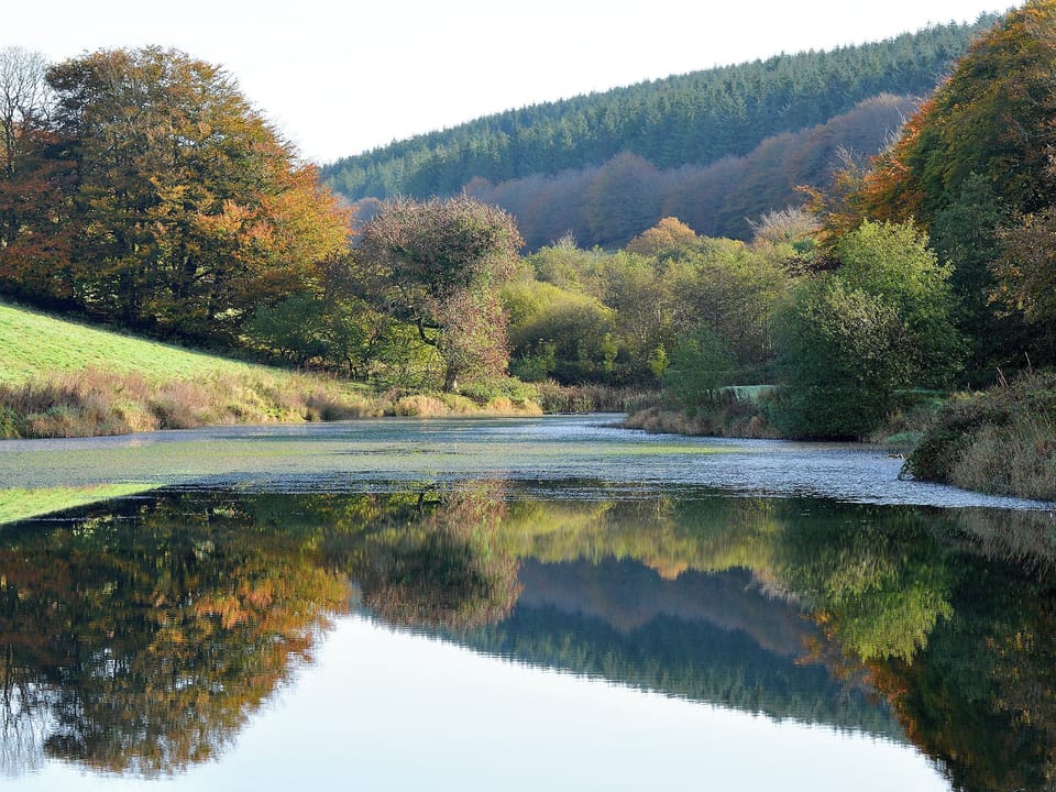 Lovely surrounding countryside | Combe View - Lower North Radworthy Cottages, Heasley Mill, near South Molton