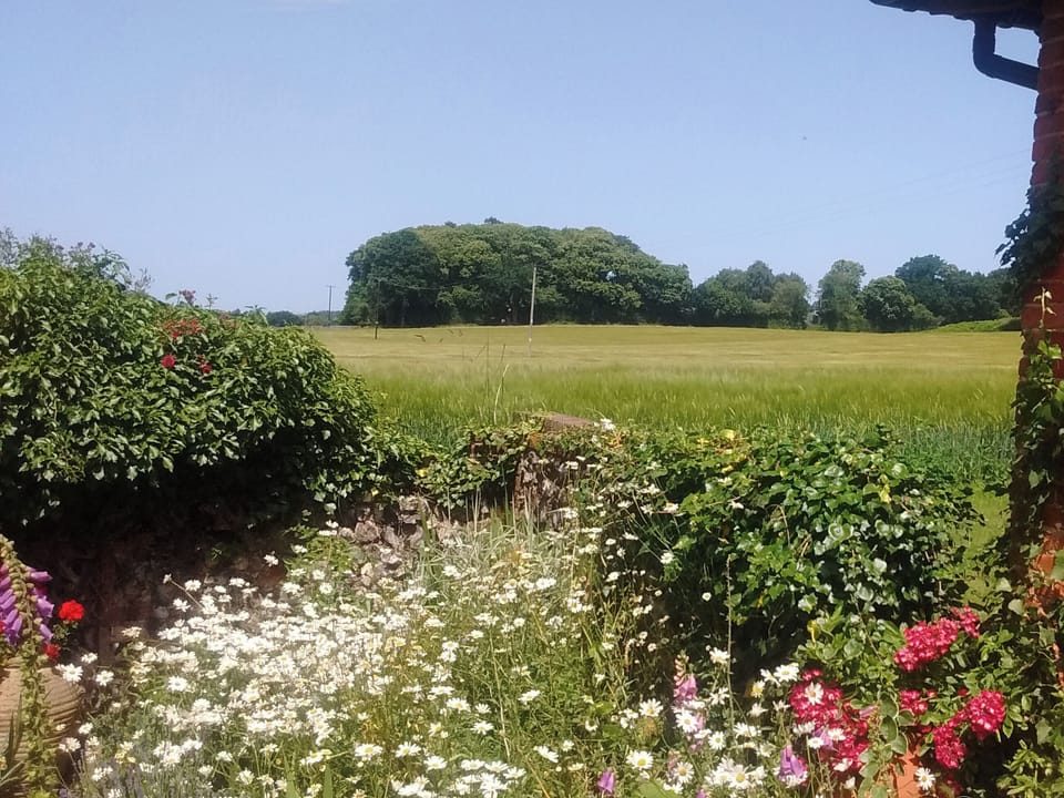 Beautifully decorated double bedroom | Elmtree Barn, Skeyton, near North Walsham