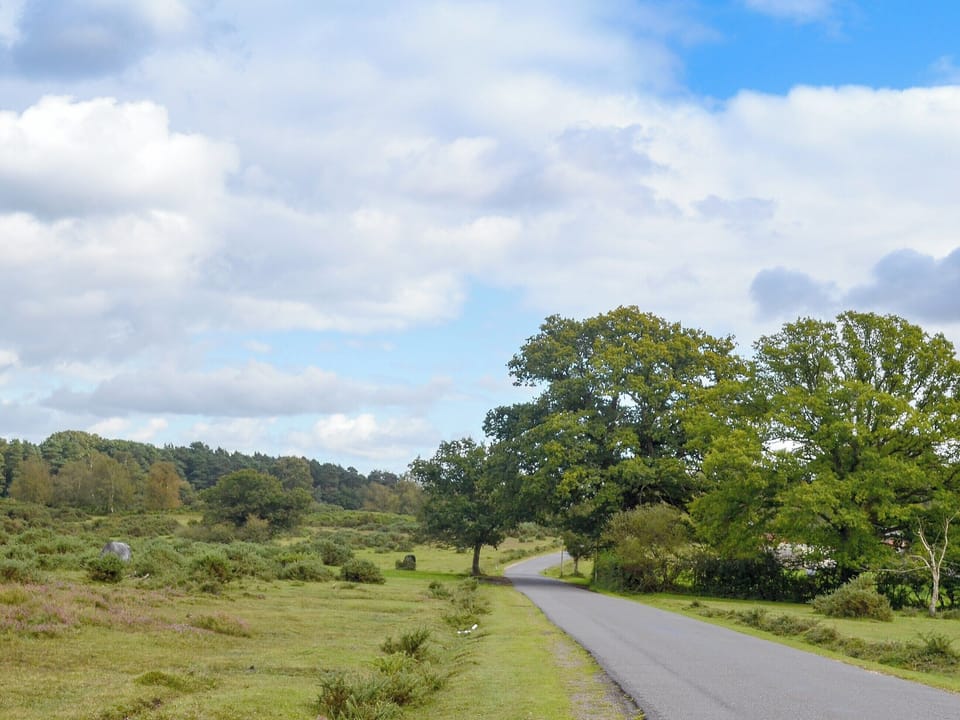 Ponies roaming in the beautiful surrounding area of the New Forest | Brookside Cottage, Burley, near Ringwood
