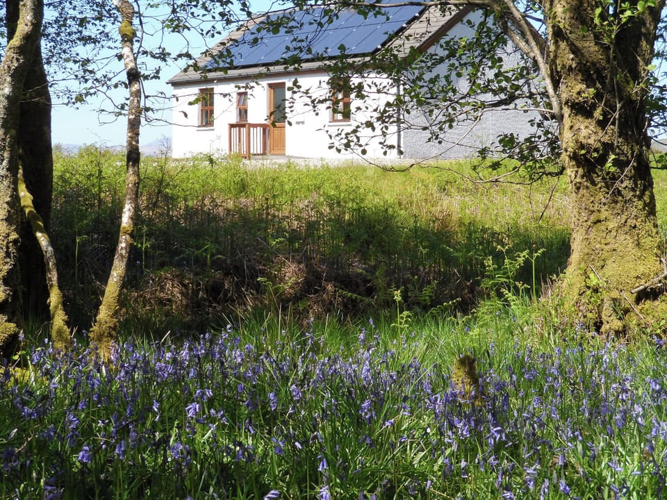 Exterior | Moy, Achnamara, nr. Lochgilphead