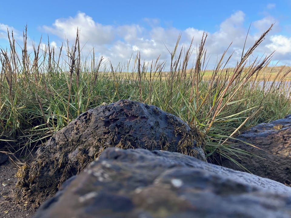 Dula Estuary | Ty Bobbet, Penysarn
