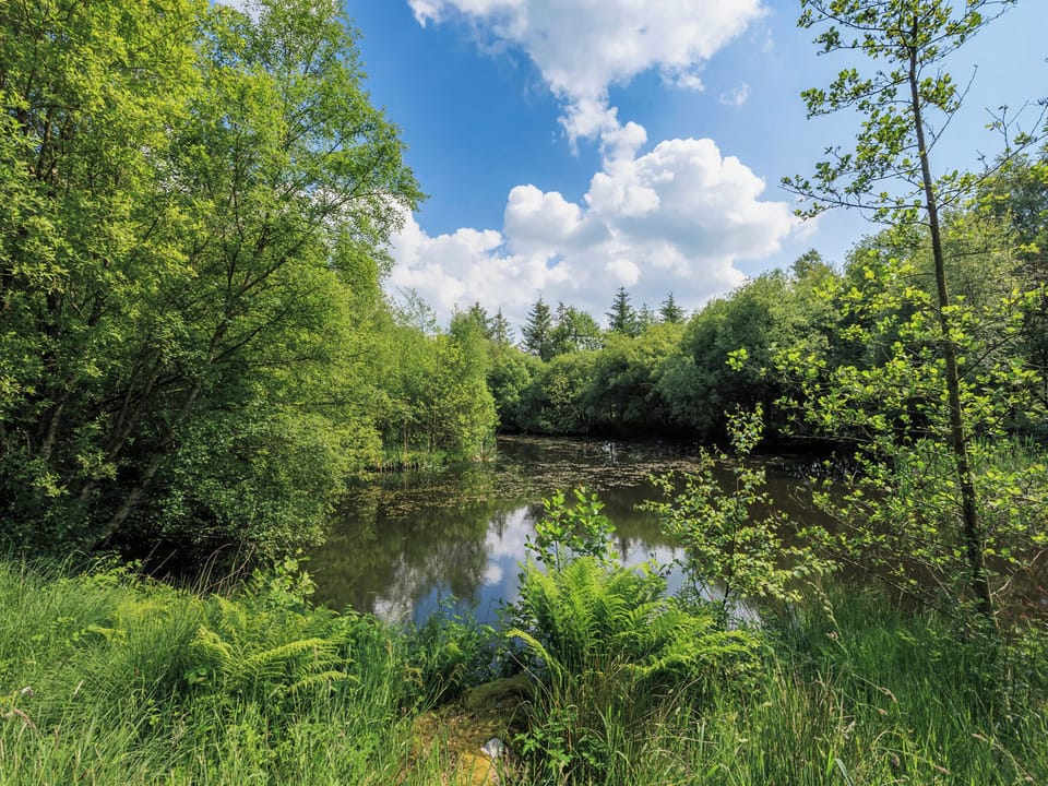 Surrounding area | Neuaddlas Country House, Tregaron, near Aberystwyth