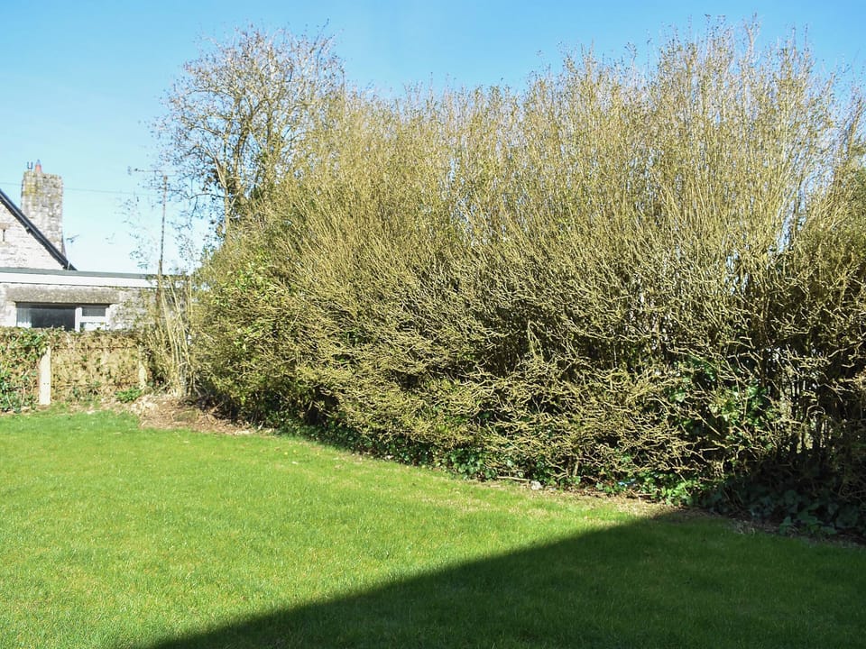 Lawned garden | No.1 The Old School, Puddletown, near Dorchester