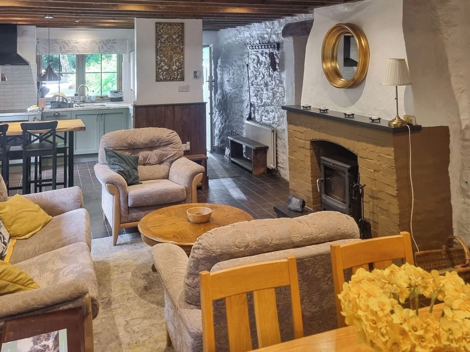 Spacious open plan living space with beamed ceiling | The Glen, Pontrhydygroes, Devils Bridge