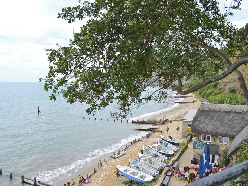 View | Chine Bluff, Shanklin