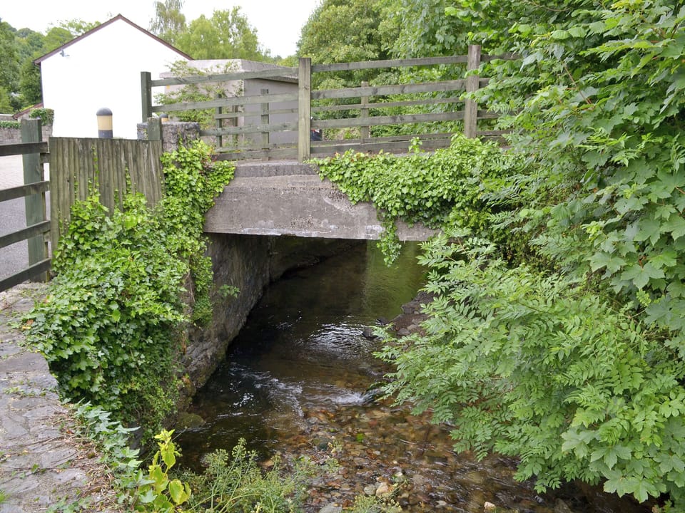 Ted &rsquo;n&rsquo; Betty&rsquo;s, Buckfastleigh