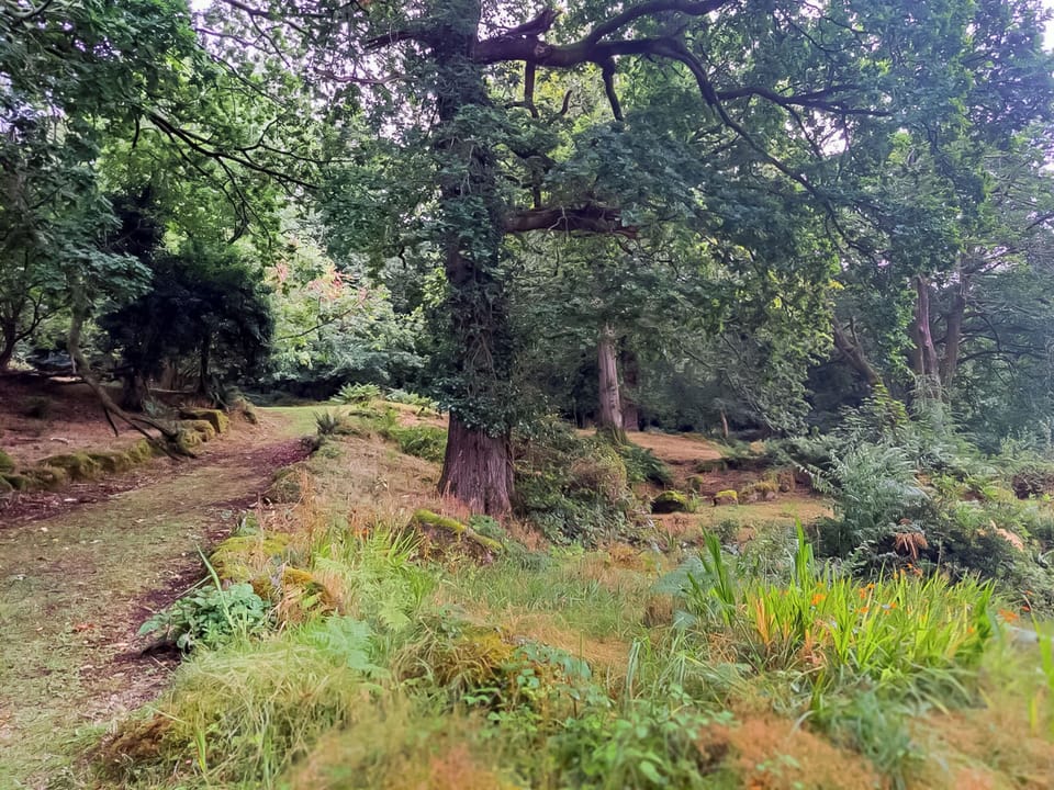 Garden and grounds | Brook Lodge - Dartmoor Lodges, Doccombe, near Dunsford 