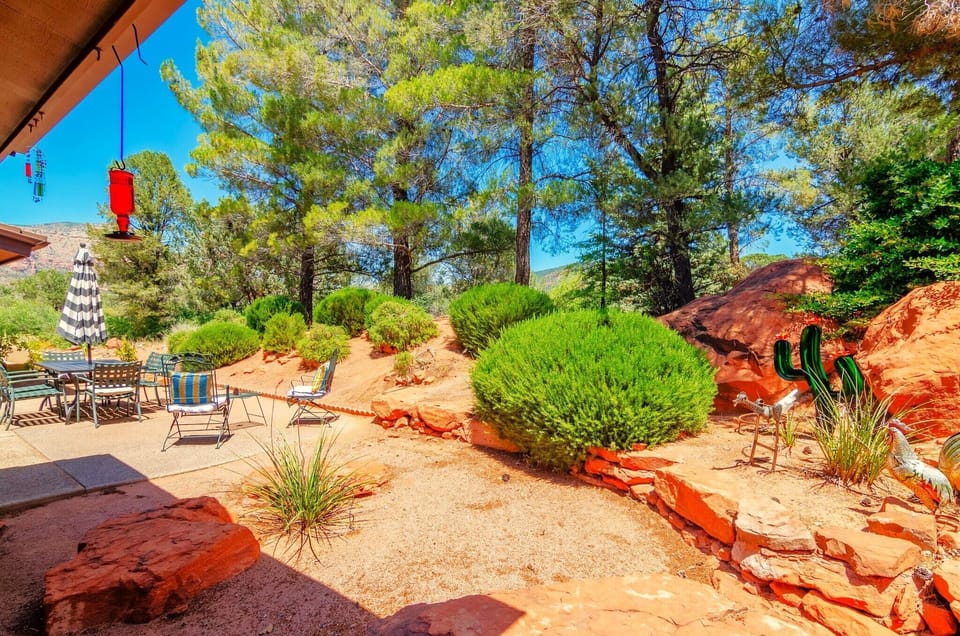 Private backyard that borders forest land