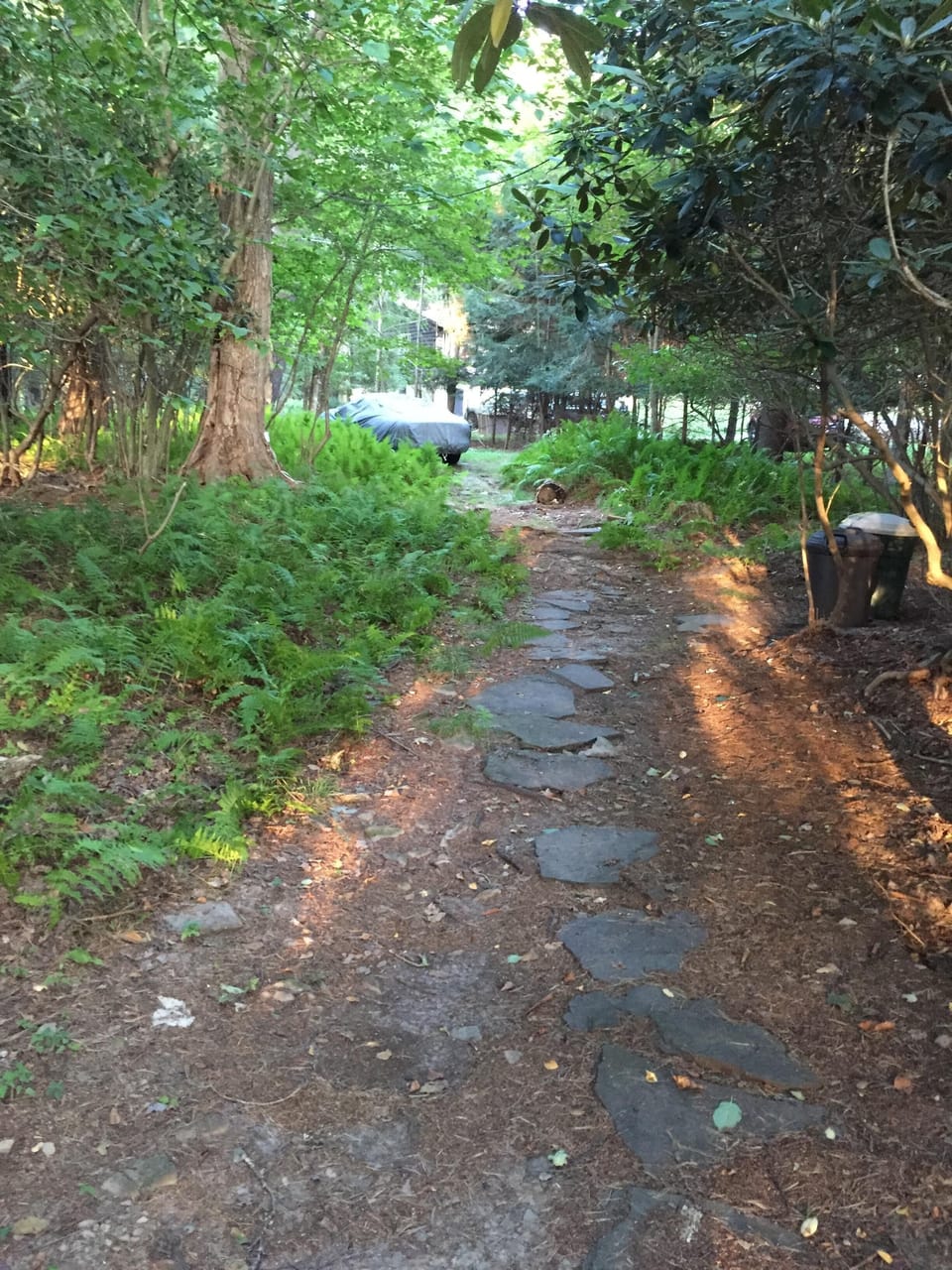 View of path in backyard to parking  area for 2 cars.