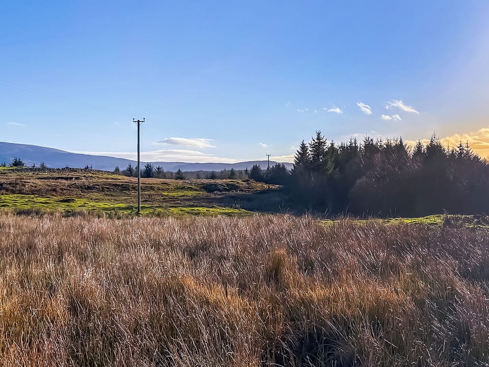 View | The Orangerie, Bargrennan, near Glentrool