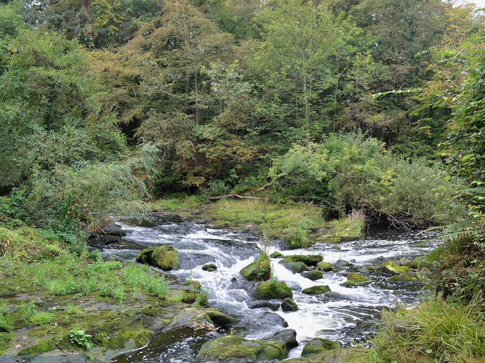 View | The Wheelhouse, Nr. Linlithgow