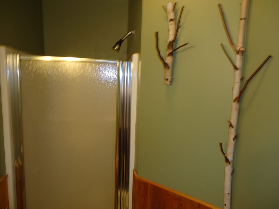 Our 2nd bathroom with a shower no bathtub.