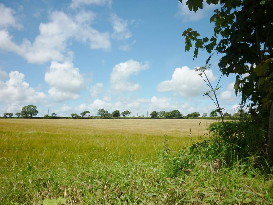 Surrounding area | Blackberry Cottage, Coads Green, nr. Launceston