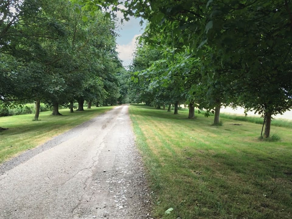 Surrounding area | Kestrel - Caves Farm Barns, Near Ely