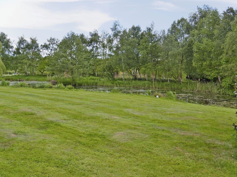 View | Ringlet, Nr. Stalham