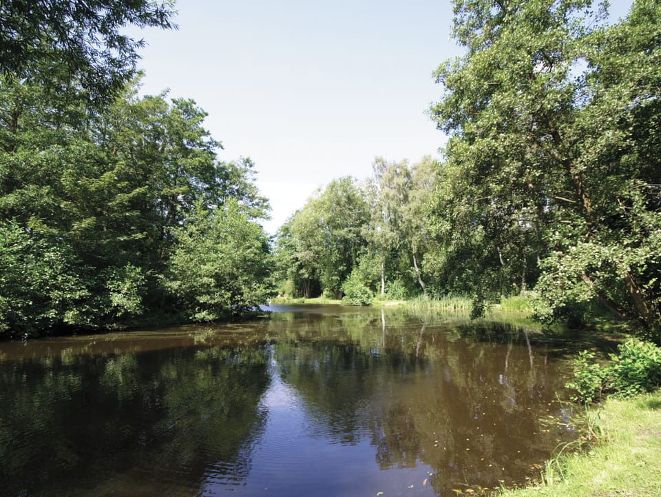 Hevingham Lakes | Garden Cottage, Hevingham, nr. Norwich