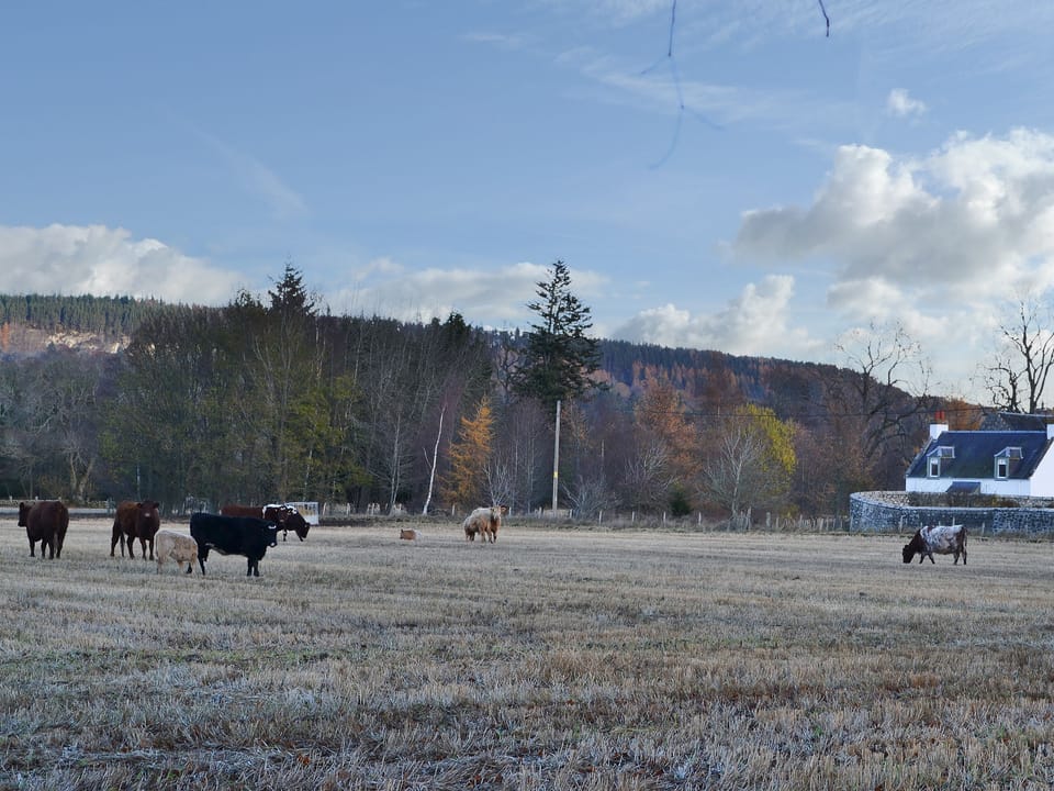 Enjoying a beautiful rural location | Glebe Cottage, Urray, near Dingwall